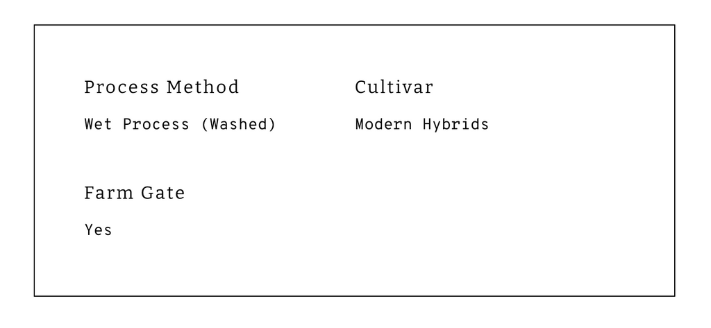 12oz Coffee (Most Popular)