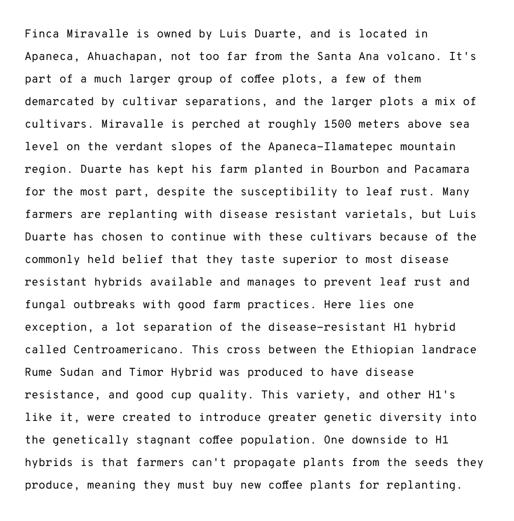 12oz Coffee (Most Popular)