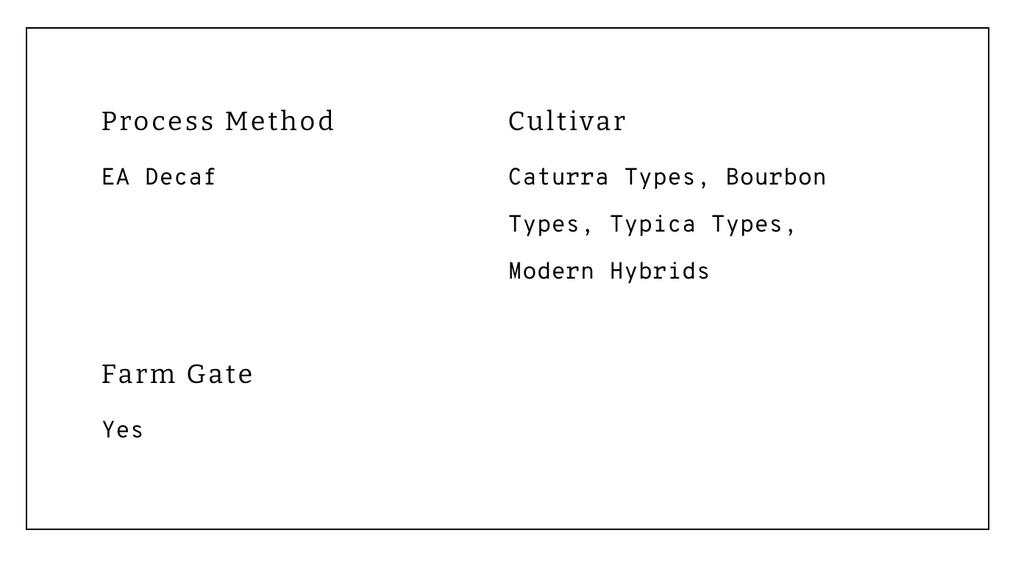 12oz Coffee (Most Popular)