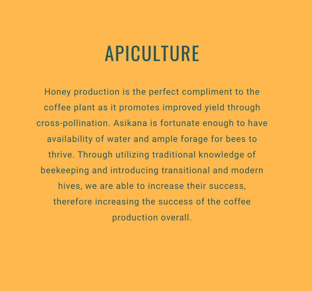 12oz Coffee (Most Popular)