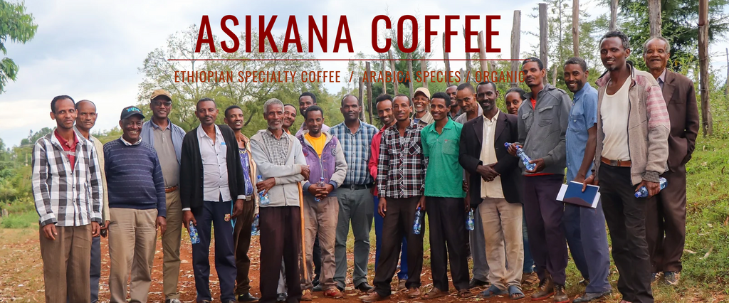 12oz Coffee (Most Popular)