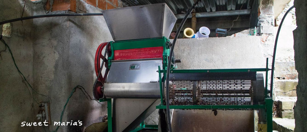 12oz Coffee (Most Popular)