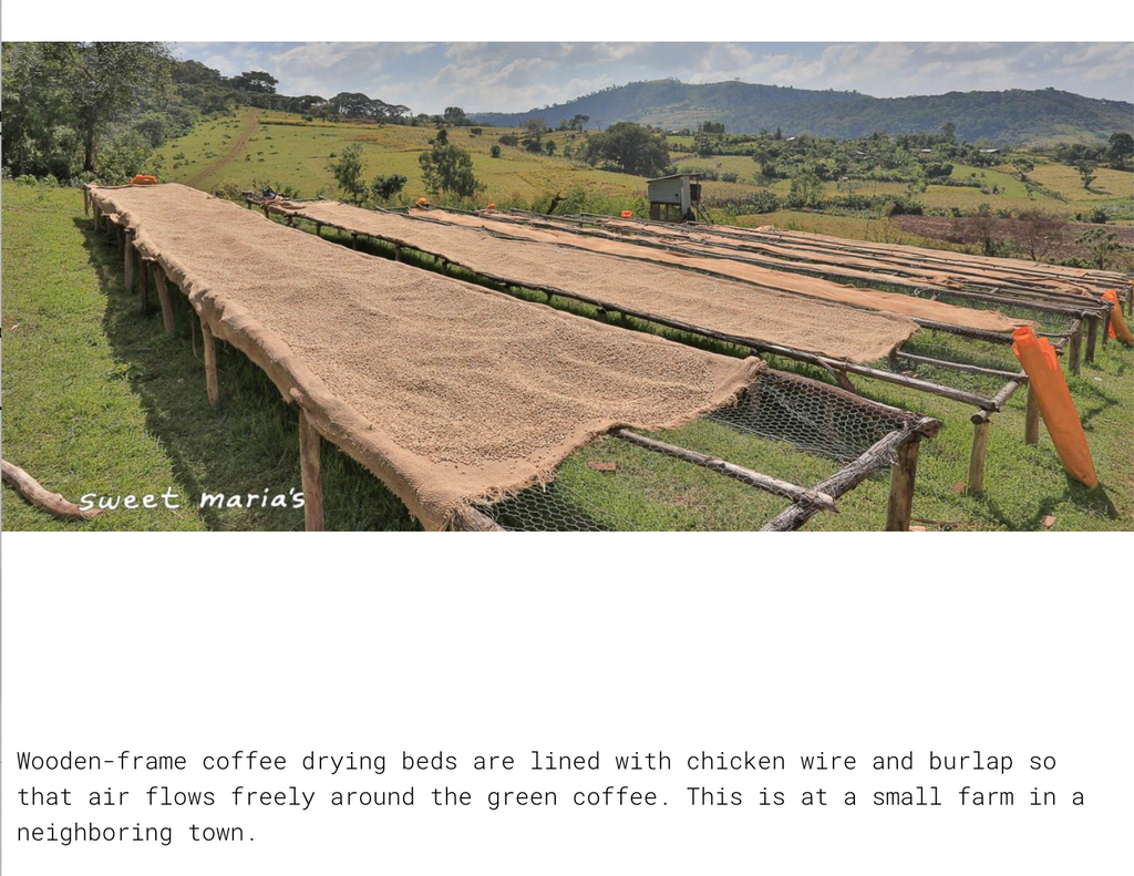 12oz Coffee (Most Popular)