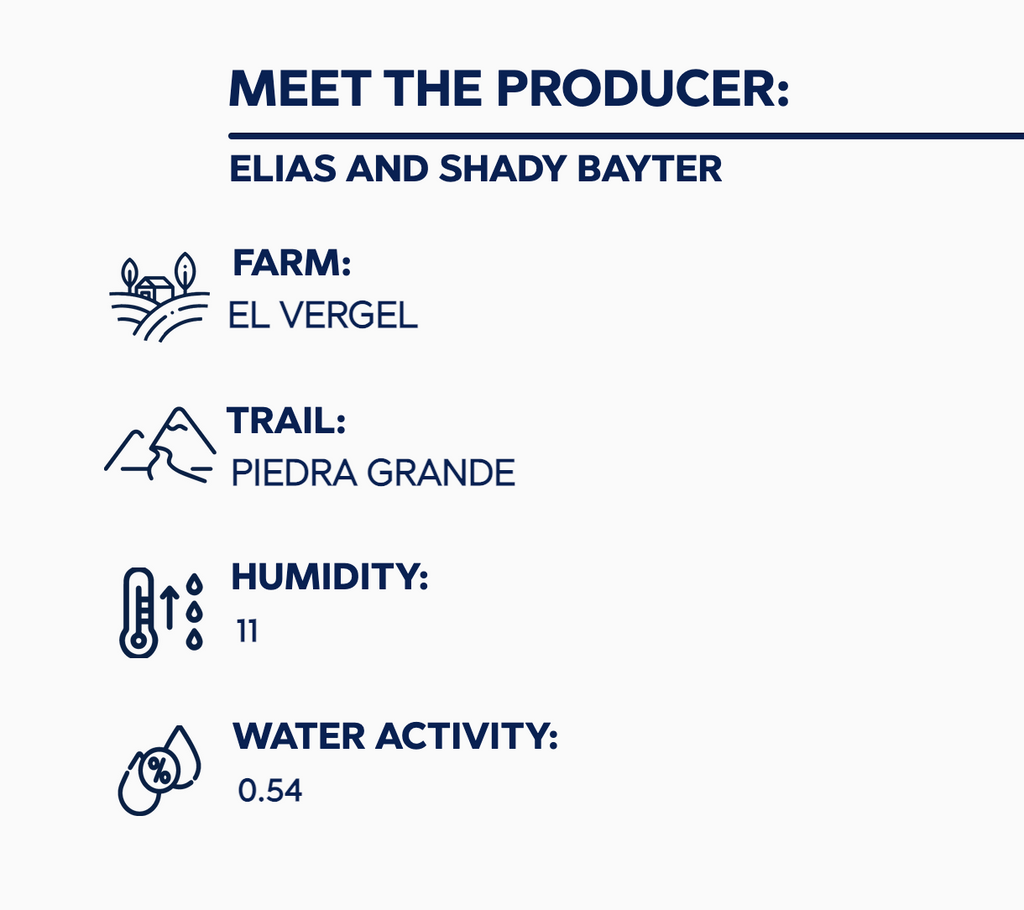 12oz Coffee (Most Popular)