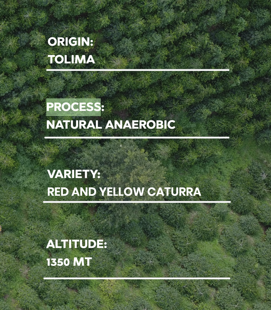 12oz Coffee (Most Popular)