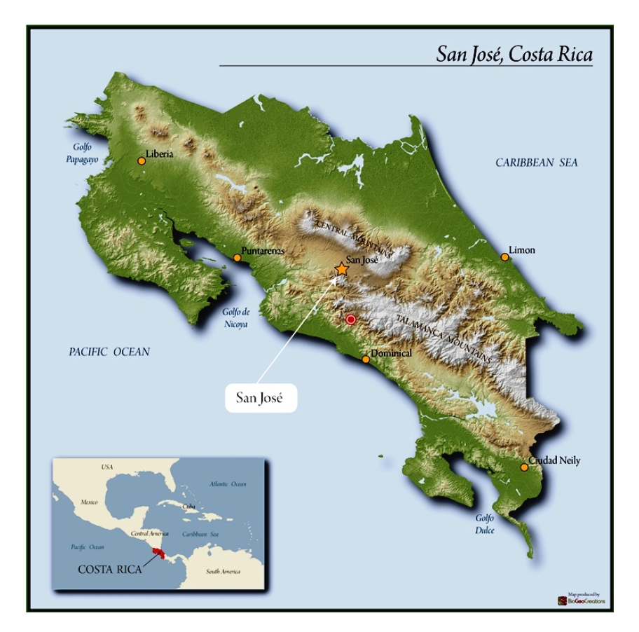 12oz Coffee (Most Popular)