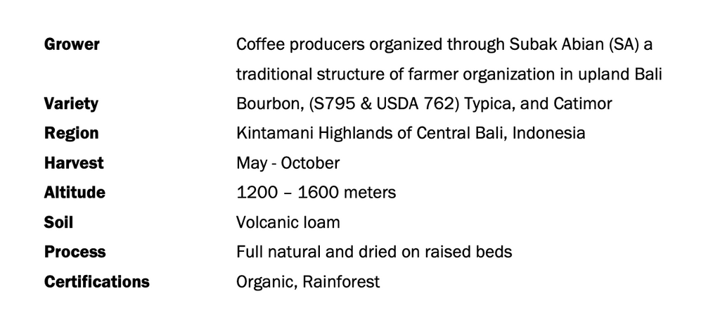 12oz Coffee (Most Popular)