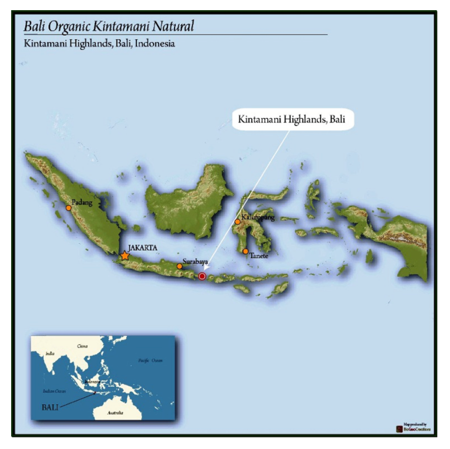 12oz Coffee (Most Popular)