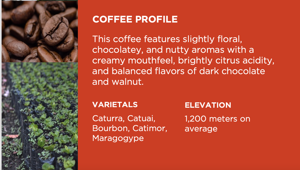 12oz Coffee (Most Popular)