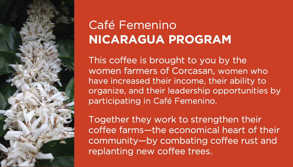 12oz Coffee (Most Popular)