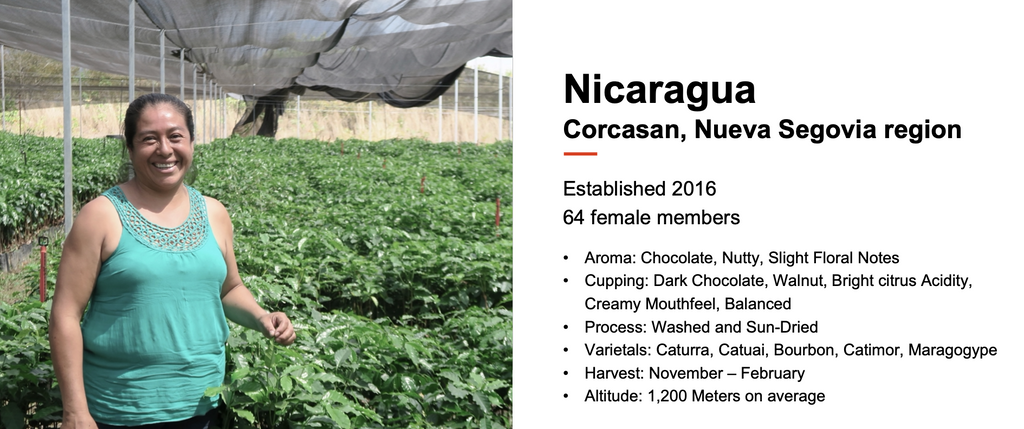 12oz Coffee (Most Popular)