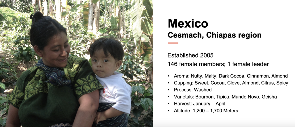 12oz Coffee (Most Popular)