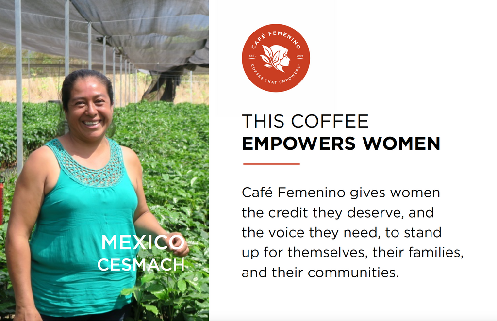 12oz Coffee (Most Popular)