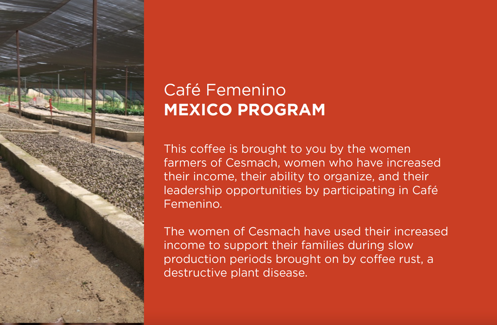 12oz Coffee (Most Popular)