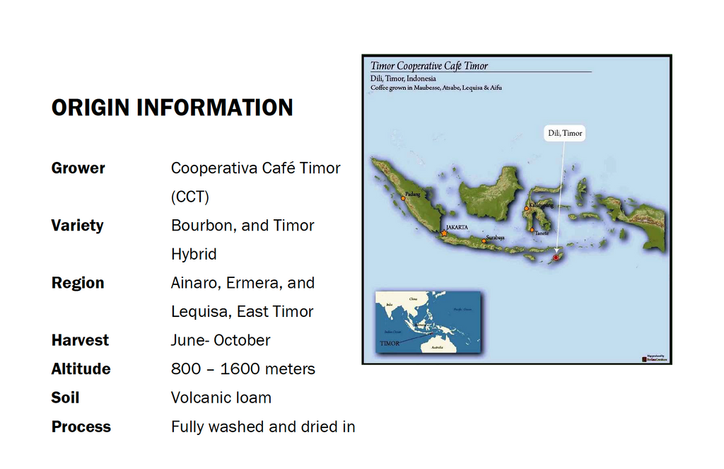 12oz Coffee (Most Popular)