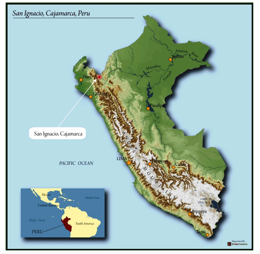 12oz Coffee (Most Popular)