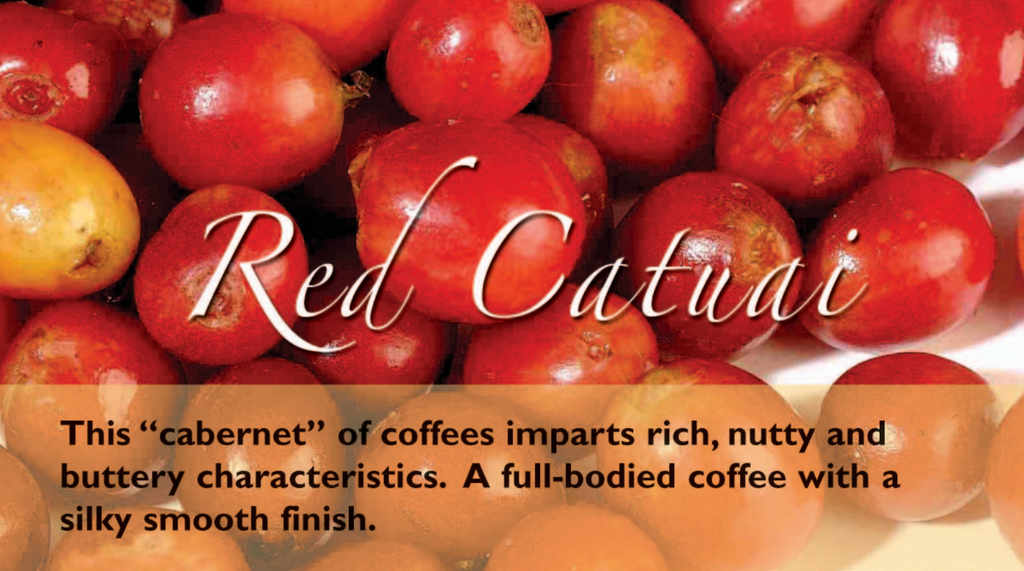 12oz Coffee (Most Popular)