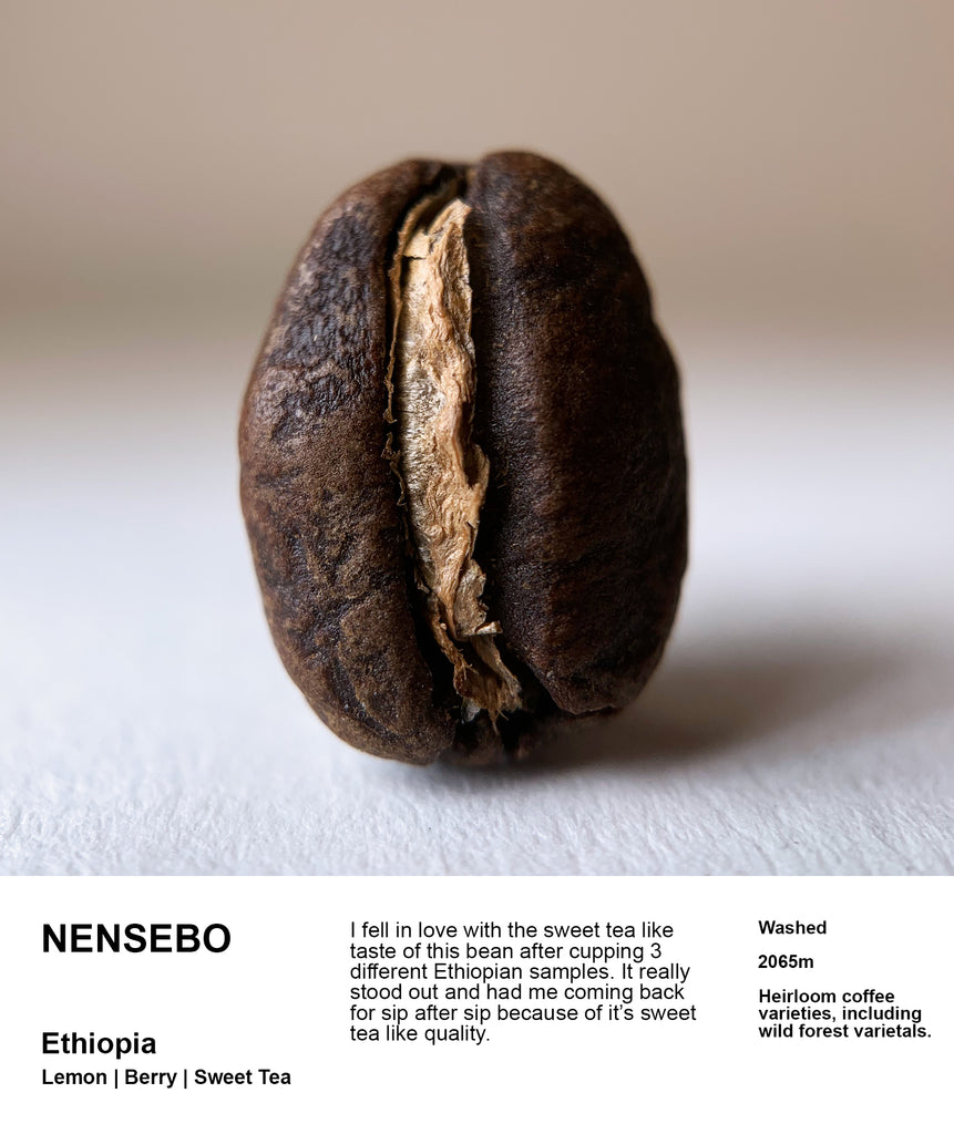 12oz Coffee (Most Popular)